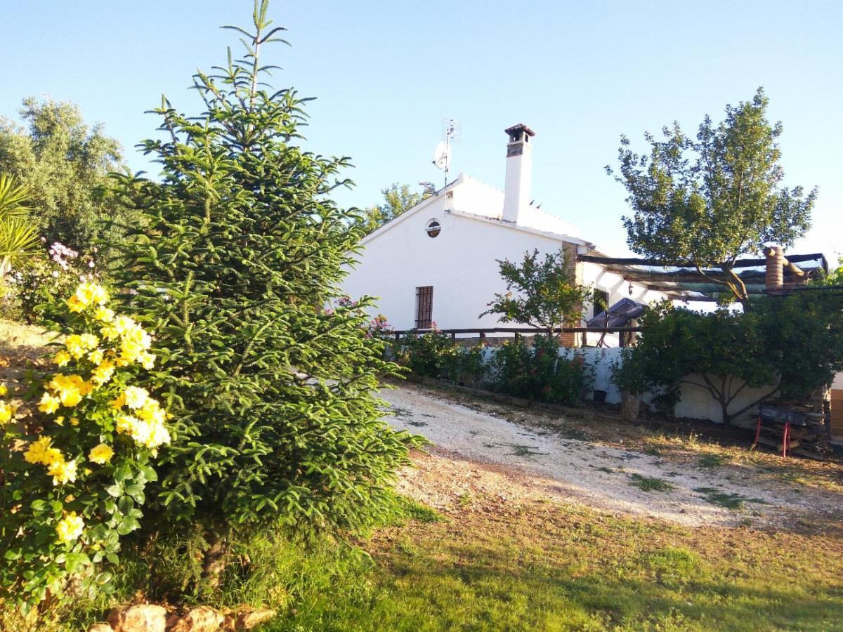 Villa Casa Rural Bellavista Ronda Exterior foto